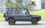 Mercedes-Benz G300 CDI Professional 2017 года (AU)
